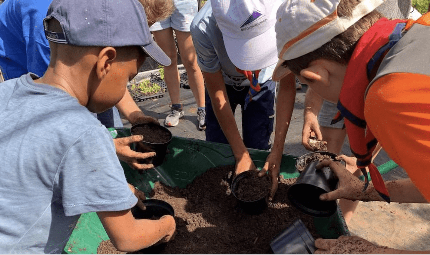 planter des semis et des graines