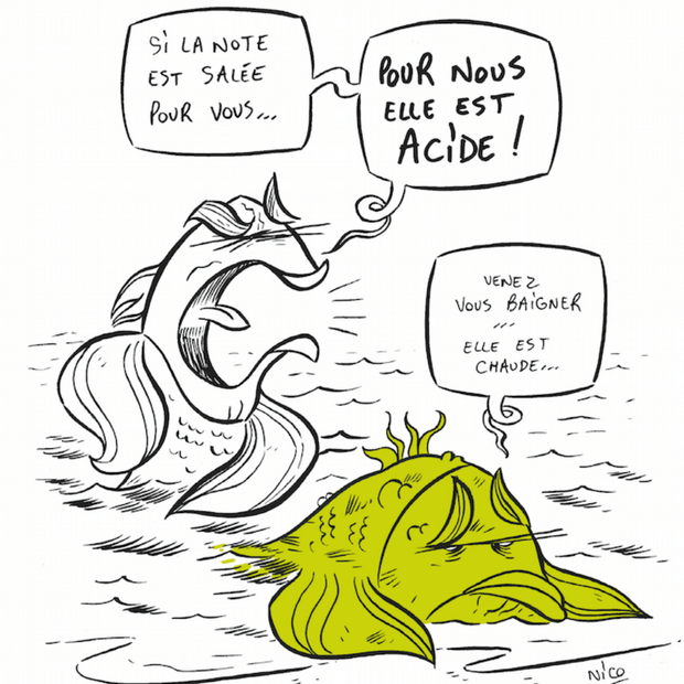 acidification des océans