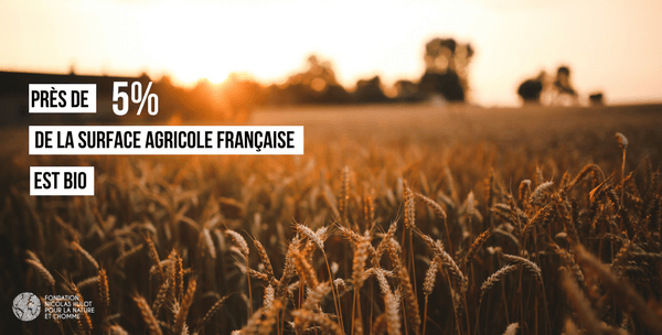 agriculture bio en france