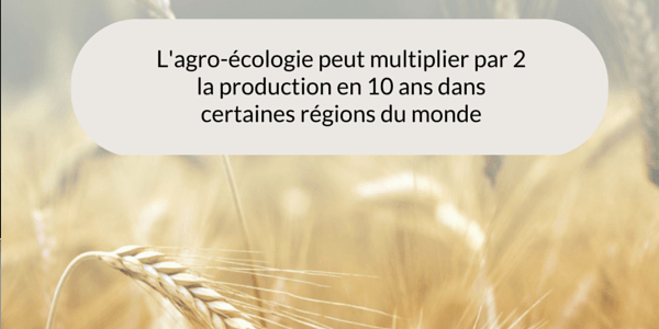 agro-écologie