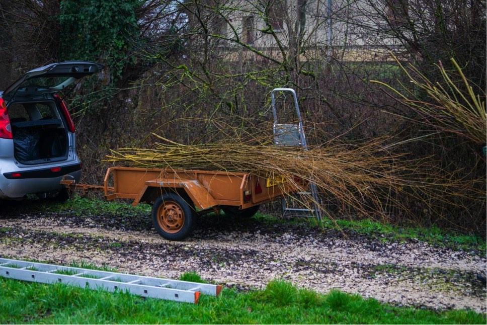 Collecte des matériaux pour le garnissage du nid © Dole Environnement