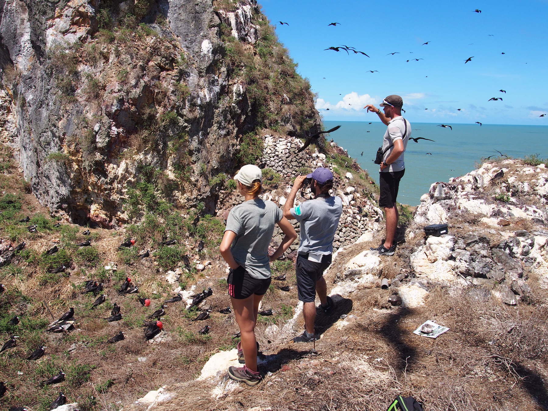 3 personnes observent des oiseaux volant au bord de la mer pour les compter