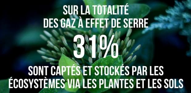 GES et ecosystèmes