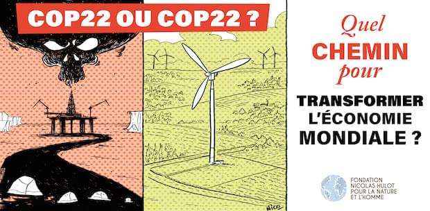 COP22 et economie