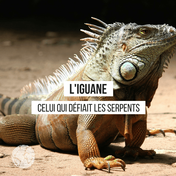 celui qui défiait les serpents