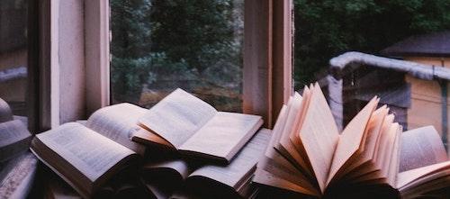 Livres ouverts devant une fenêtre donnant sur des arbres et un coucher ou lever de soleil