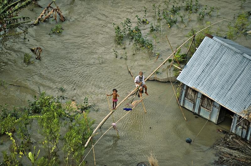 Rizière au Bangladesh
