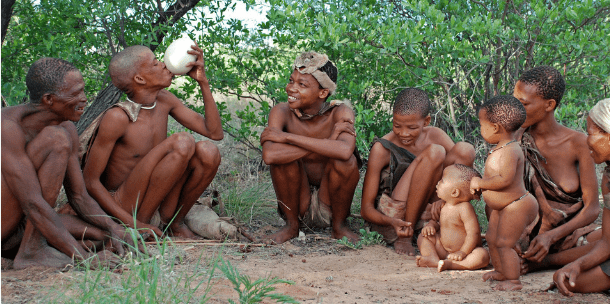 biodiversité en danger