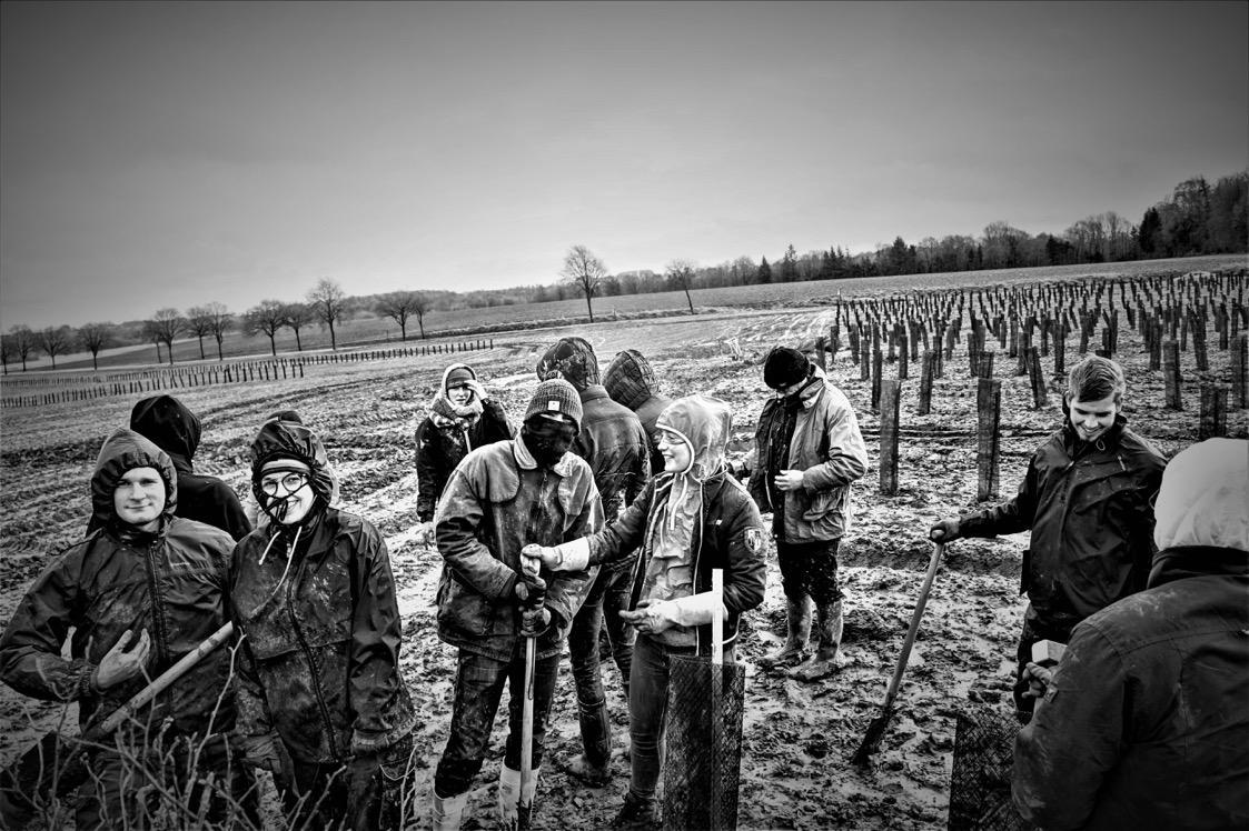 © Les Planteurs Volontaires