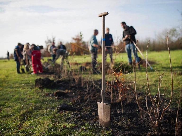 Les Planteurs Volontaires