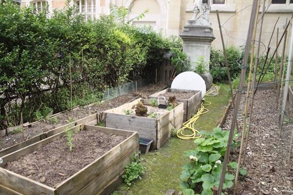 potager Mon Restau Responsable