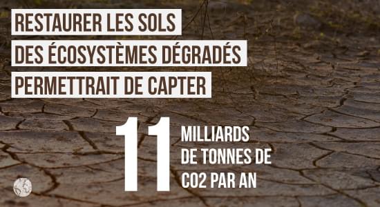 Rôle des sols et climat