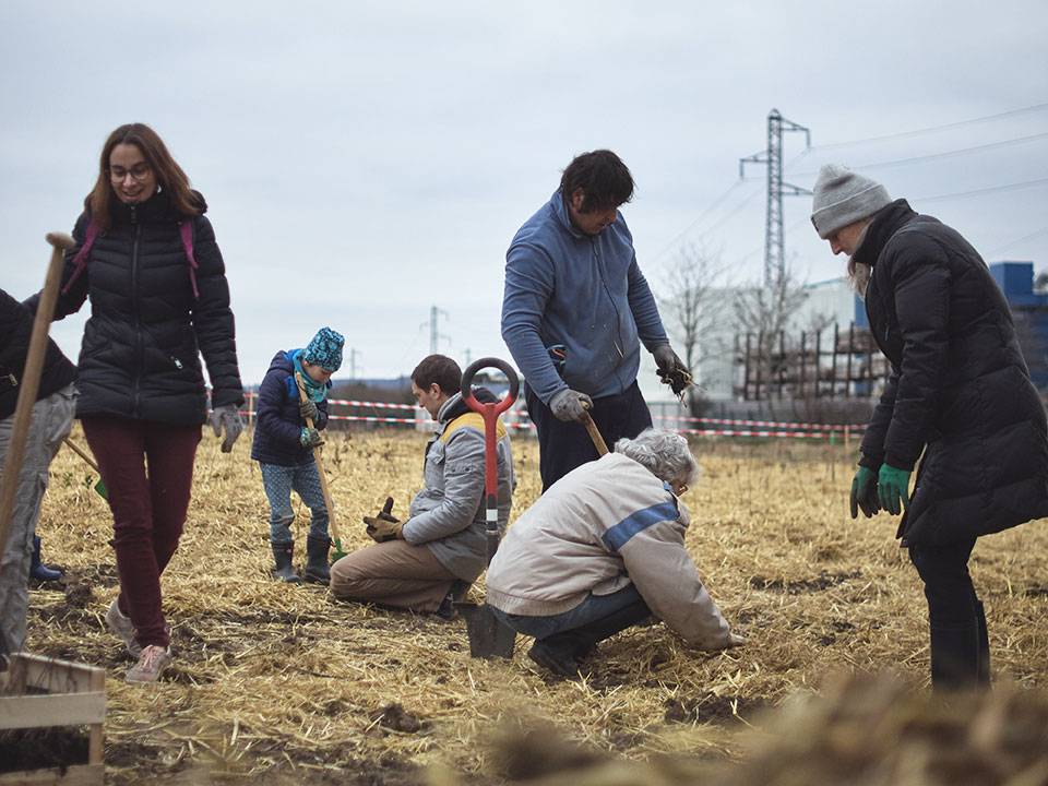 Micro-forêt urbaine à Villiers sur Orge