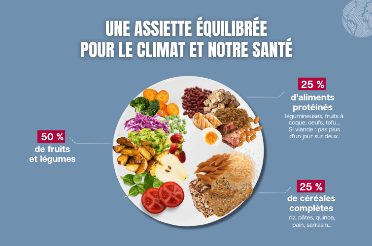 Assiette équilibrée pour aa santé et le climat